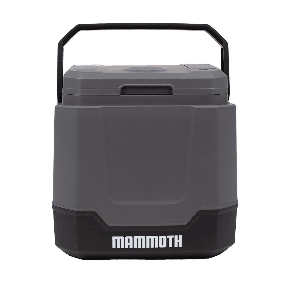34 Qt AC-DC Cooler